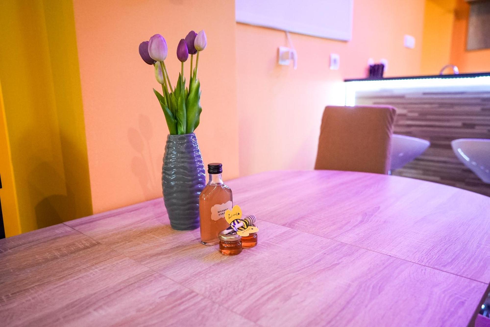 Honey Apartment Лендава Экстерьер фото